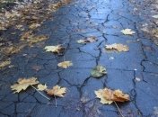 Синоптики об изменении климата в Украине: дождей летом почти не будет