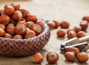 Лесной орех, лещина и фундук: в чем отличия?