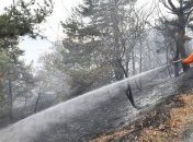 На востоке Грузии снова возник лесной пожар
