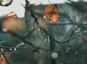 Осінь бере своє: синоптик розповіла, якою буде погода на початку жовтня