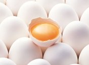 Шнобелевская премия вручена за превращение вареных яиц в сырые