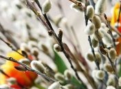 Вербное воскресенье: в какие приметы люди верят до сих пор