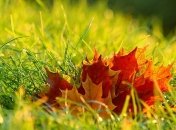 Какой завтра праздник: приметы и обряды на 19 ноября