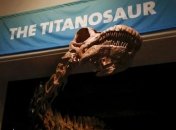 В музее Нью-Йорка выставят скелет титанозавра  