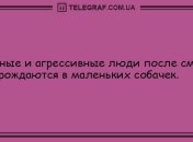 Проснулся и тут же улыбнулся: утренние анекдоты 11 сентября