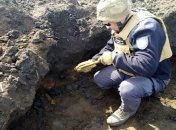 "Черный археолог" случайно наткнулся на сотни советских противотанковых мин (фото и видео)