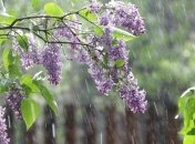 В Украину идет холодный антициклон