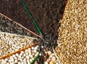 Днепропетровская область собрала 1-й миллион тонн зерновых