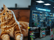 Забавный кот в магазине развеселил сеть