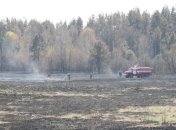 ГСЧС: Радиационный фон в "Чернобыльской пуще" в норме