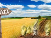 Менше половини українців обізнані про проблему ринку землі (інфографіка)