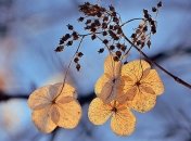 Теплее, чем обычно: синоптики дали прогноз на март