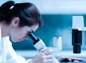 Ученые разработали микрочип для выращивания тканей и органов человека