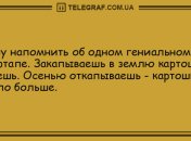 Минутка юмора для отличного настроения: анекдоты
