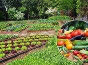 Посівний календар на квітень 2022