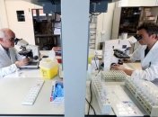 У Києві кількість хворих на COVID-19 збільшилась до 55