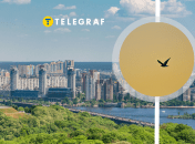 Цей птах уміє пристосовуватися до "бетонних джунглів"