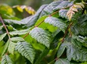 Украинцев предупредили о похолодании 