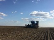 В Украине засеяли 7,6 млн га под озимыми зерновыми