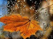 Синоптики прогнозируют лишь небольшие осадки