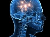 Ученые: Протез для мозга может вылечить болезнь Альцгеймера