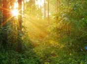 Прогноз погоды на 8 июня: ночью будет холодно, а днем - жарко