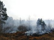 Пожарная ситуация: Спасатели ликвидировали очаги в нескольких районах Житомирщины