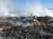 В Закарпатской области горели городские свалки