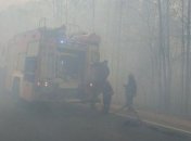 На Житомирщині ліквідували більше третини осередків лісової пожежі