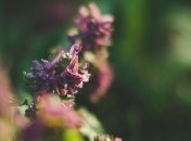 Погода в Украине 29 марта: переменная облачность, местами дождь