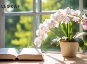 Один из самых красивых цветков имеет свои минусы