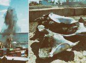 Корабль видите? А если найдем?