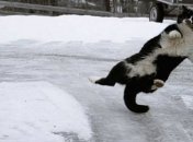 Учитывайте предупреждения синоптиков: в Украине ожидаются очень опасные погодные условия