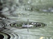 Бельгийской метеослужбе пригрозили иском 