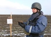 Саперы обезвредили почти 47 тыс. боеприпасов за год 