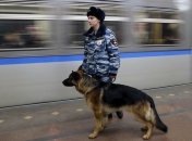 В Санкт-Петербурге задержали предполагаемых сообщников террориста