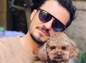 Орландо Блум набил татуировку в честь пропавшего пса (Фото, Видео)