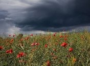 Шквальный ветер, грозы и град: в Украину после жары придут похолодание и дожди