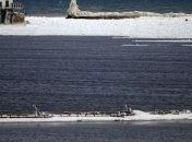 Канадцы отметили наступивший год купанием в ледяной воде