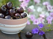 Что будет с ценами на черешню в Украине в июне