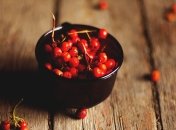 Польза черноплодной рябины