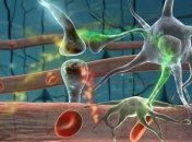 Ученые обнаружили нового паразита