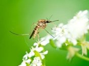 Какой завтра праздник: традиции и приметы на 26 мая