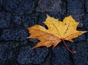 На выходные в Украину придет похолодание и дожди