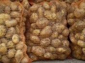 Беларусь отменила ограничение на ввоз картофеля из Украины 