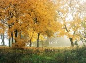 17 сентября. Приметы дня