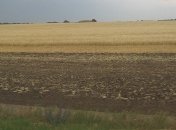 Украинской земле предрекли серьезный рост в цене: озвучены цифры