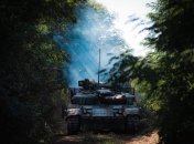 Украинские воины