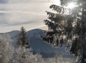 В Украине потеплеет: снег перейдет в дождь и будет гололед