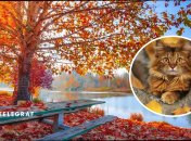 Погода восени